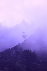 霧にかすむ山並み