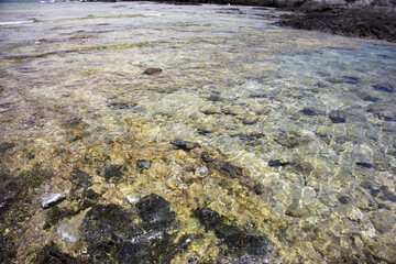 栗生沿岸海中公園