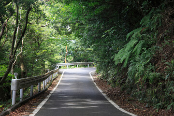 西部林道