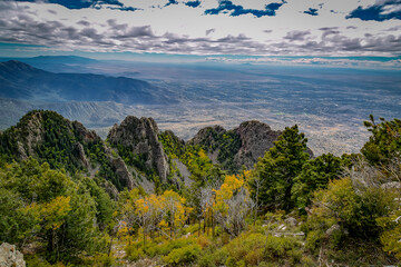 sandia crest, la Luz trail, mile high, Albuquerque New Mexico, aspens
