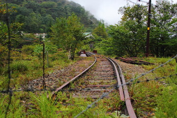 Obraz premium 足尾銅山の廃線路