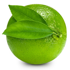 One ripe green lime with green leaf clipping path