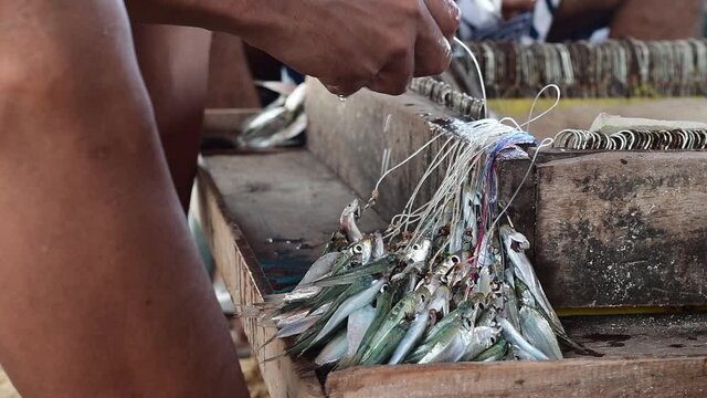 Close-Up Male Hand Puts Bait On Crochet Hooks Fishing at los roques  los roques caribbean sea venezuela