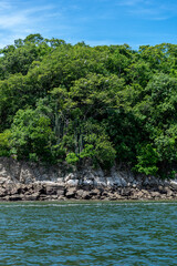 Beautiful view of the San Lucas Island in Costa Rica  and its wild life