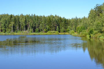 Fototapeta na wymiar Lake in a wild forest, clear blue sky above the trees and reflection in the water