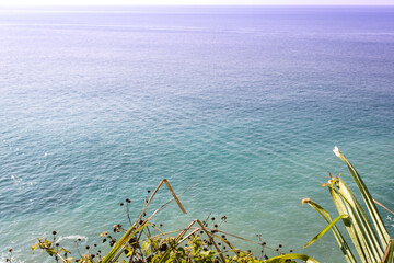 Fototapeta premium Sea and grass