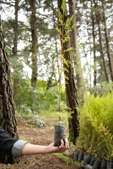 Young man's hand holding a small tree ready to plant - environmental reforestation