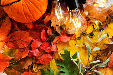 pumpkin and magic lights on autumn bright colorful leaves. Fall flatlay, сozy atmosphere