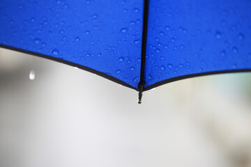 雨傘
