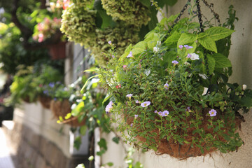 北野町の町並み