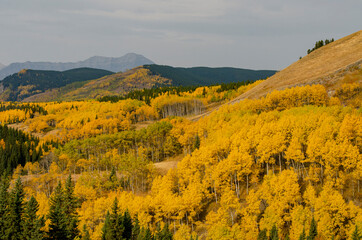 Kananaskis Country in Autumn