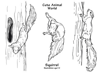 Illustration Sketch Hand drawing squirrel, Animal world cute vector eps10. © JUNE