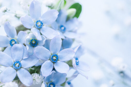 ソフトフォーカス Images Browse 4 135 Stock Photos Vectors And Video Adobe Stock