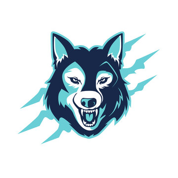 wolf head cartoon in vector