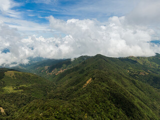 Obraz premium Beautiful view of the impressive green the Rainforest in Costa Rica in Pico Blanco