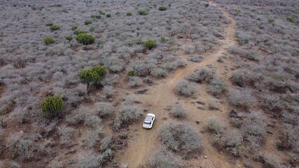 Driving a 4x4 vehicle through remote wilderness in Africa
