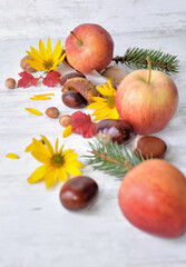red apples, brown, yellow flowers with leaves in autumnal still life on white background