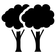 
Trees showing forest concept
