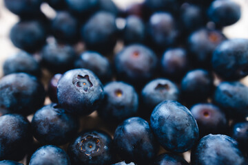 simple food ingredients, close-up of fresh blueberries in box