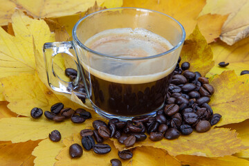 Cup with espresso and coffee beans around it on yellow leafs 