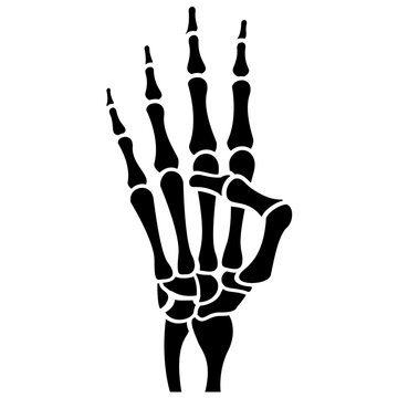 
A skeleton hand is making number three, counting 
