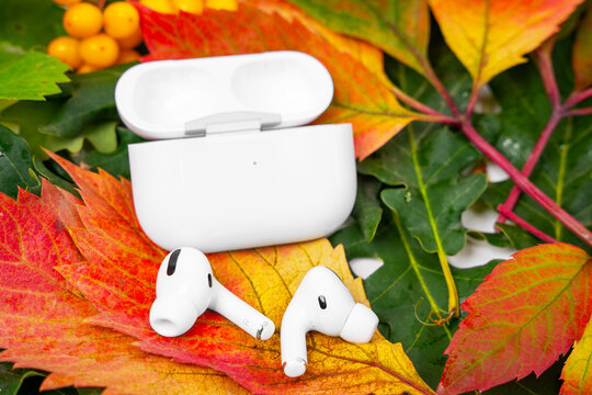 ROSTOV, RUSSIA - August 26, 2020: Wireless Headphones Apple AirPods Pro In Opened Charging Case, Active Noise Cancellation Immersive Sound Lie On Colorful Foliage. Autumn Presentation And Event Apple