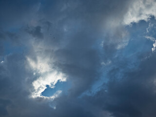 The Pre-Storm Sky Is Covered with Dark Clouds. Birds Are Carried High into The Sky by Powerful Air Currents