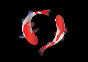 Auspicious koi fish are popular to raise their auspiciousness.
