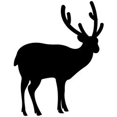 
Deer silhouette symbolising wildlife
