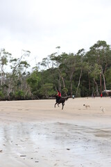 fishing on the beach