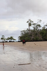walking on the beach