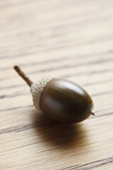 どんぐり
