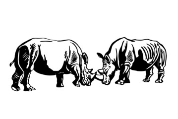 Graphical two rhinos  isolated on white, vector illustration