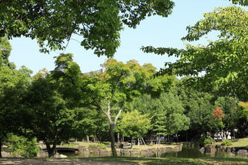 奈良公園