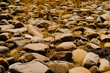 stones on the beach