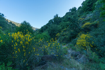mountainous area covered with vegetation in southern Spain