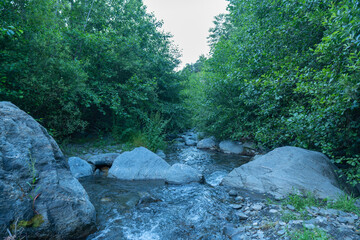 Crystal clear river surrounded by vegetation and stones