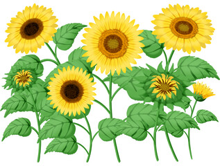 ひまわりの背景