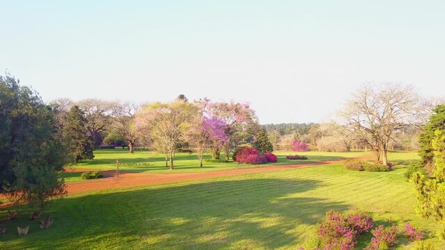 Garden in bloom. Azaleas, Lapachos and other exotic trees in a perfectly mowed lawn. Garden in Las Marias, province of Corrientes, Argentina. Part three