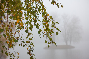 Autumn landscape with trees and the river in the fog