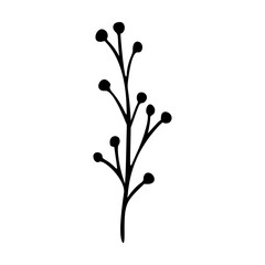 Wildflower outline hand drawn element. Herbs doodle botanical icon. Herbal and meadow plant, grass.