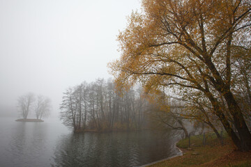 Autumn landscape with trees and the river in the fog
