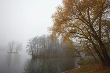 Foto auf Leinwand Autumn landscape with trees and the river in the fog © wolf139