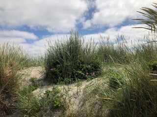 Strand D&uuml;ne Schillig