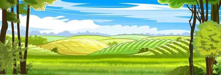 Rural hills. Landscape with trees. Vector. Pasture grass for cows and a place for a vegetable garden and farm. Meadows and trees. Horizon. Beautiful view. Summer.