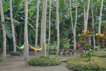 Fototapeta premium Hammock on tree from several angle.