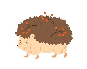 Cute hedgehog walking and carry rowan branches. Friendly sweet autumn urchin. Flat vector cartoon illustration of autumnal forest animal isolated on white background