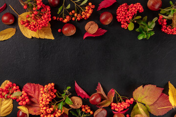 Autumn background design template with fall leaves, and chestnuts, a top flatlay shot with copy space on a black background