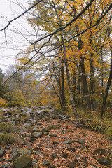 Hoosic River in autumn, Clarksburg, Massachusetts