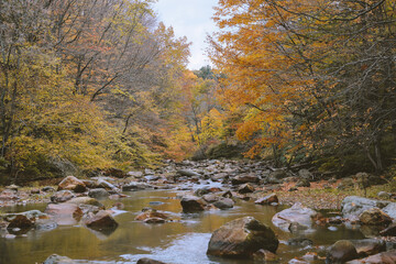 Naklejka na ściany i meble Hoosic River in autumn, Clarksburg, Massachusetts